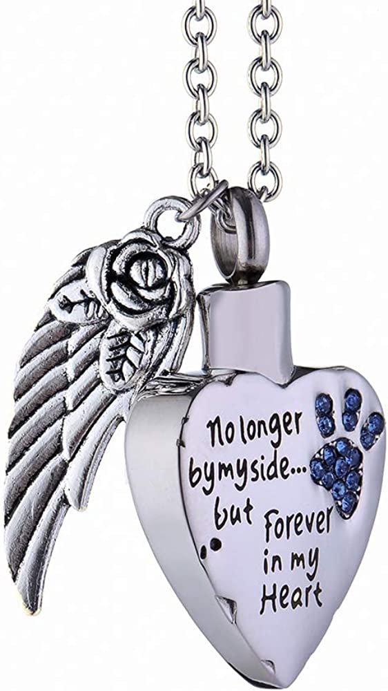 GTGOJE Cremation Jewelry for Pet Cat Dog Ashes Urn Heart Shaped Pendant Keepsake Waterproof Memorial Locket Necklaces No Longer by My Side but Forever in My Heart (Cambridge blue)