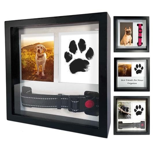 OtterPets Memorial Picture Frame for Pets - Remembrance for Dogs & Cats - Shadow Box with Collar - Keepsake Tribute for Sympathy