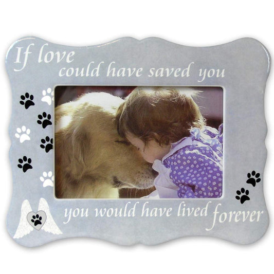 BANBERRY DESIGNS Pet Memorial Picture Frame - If Love Could Have Saved You Pet Photo Frame - Paw Prints and Angel Wings Grief Gift Memorial Sympathy
